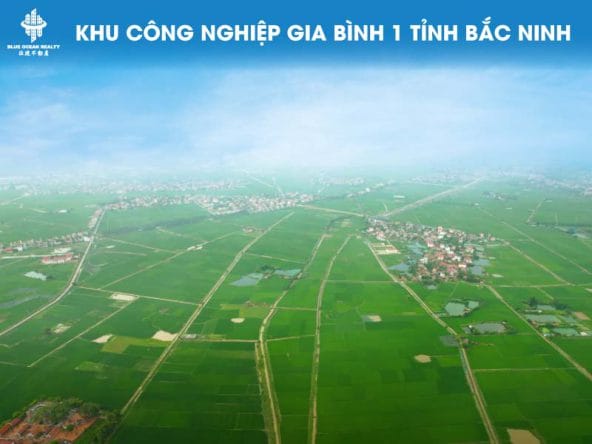 Khu công nghiệp Gia Bình 1 tỉnh Bắc Ninh