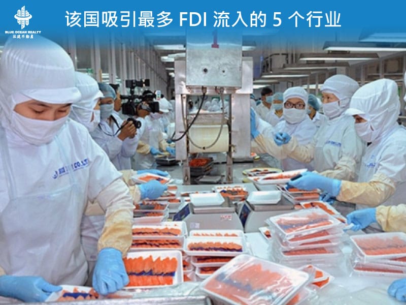 该国吸引最多 FDI 流入的 5 个行业