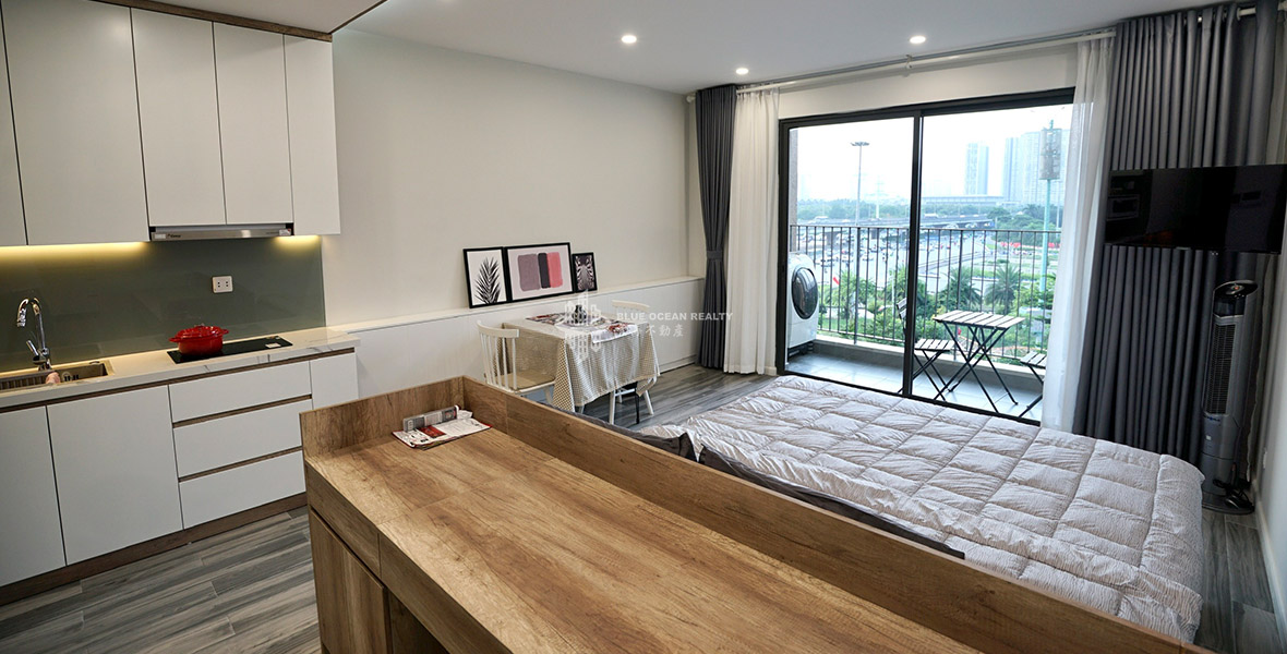 Cho thuê căn hộ Studio Vinhomes D'Capitale